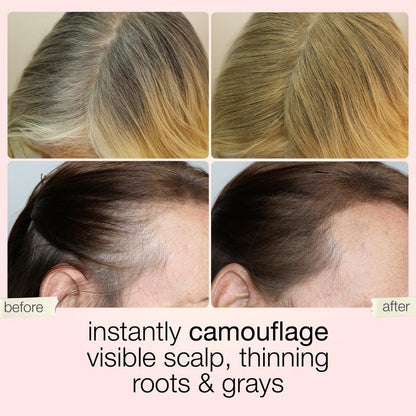Divifit & Go Hair Concealer